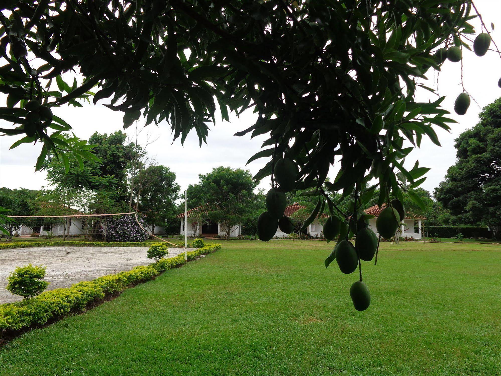 ויז'אוויסנסיו Hotel Campestre Arboretto מראה חיצוני תמונה