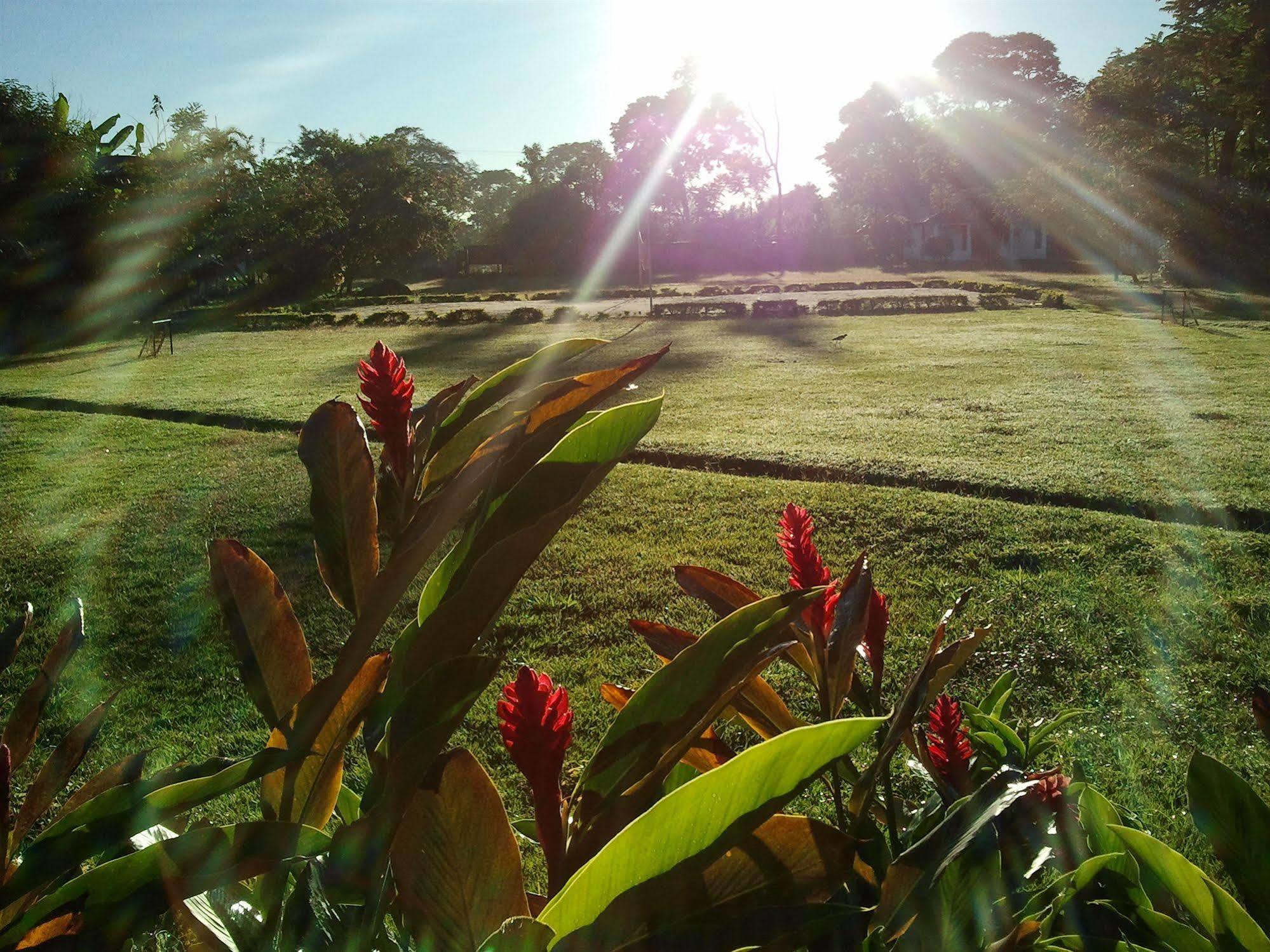 ויז'אוויסנסיו Hotel Campestre Arboretto מראה חיצוני תמונה