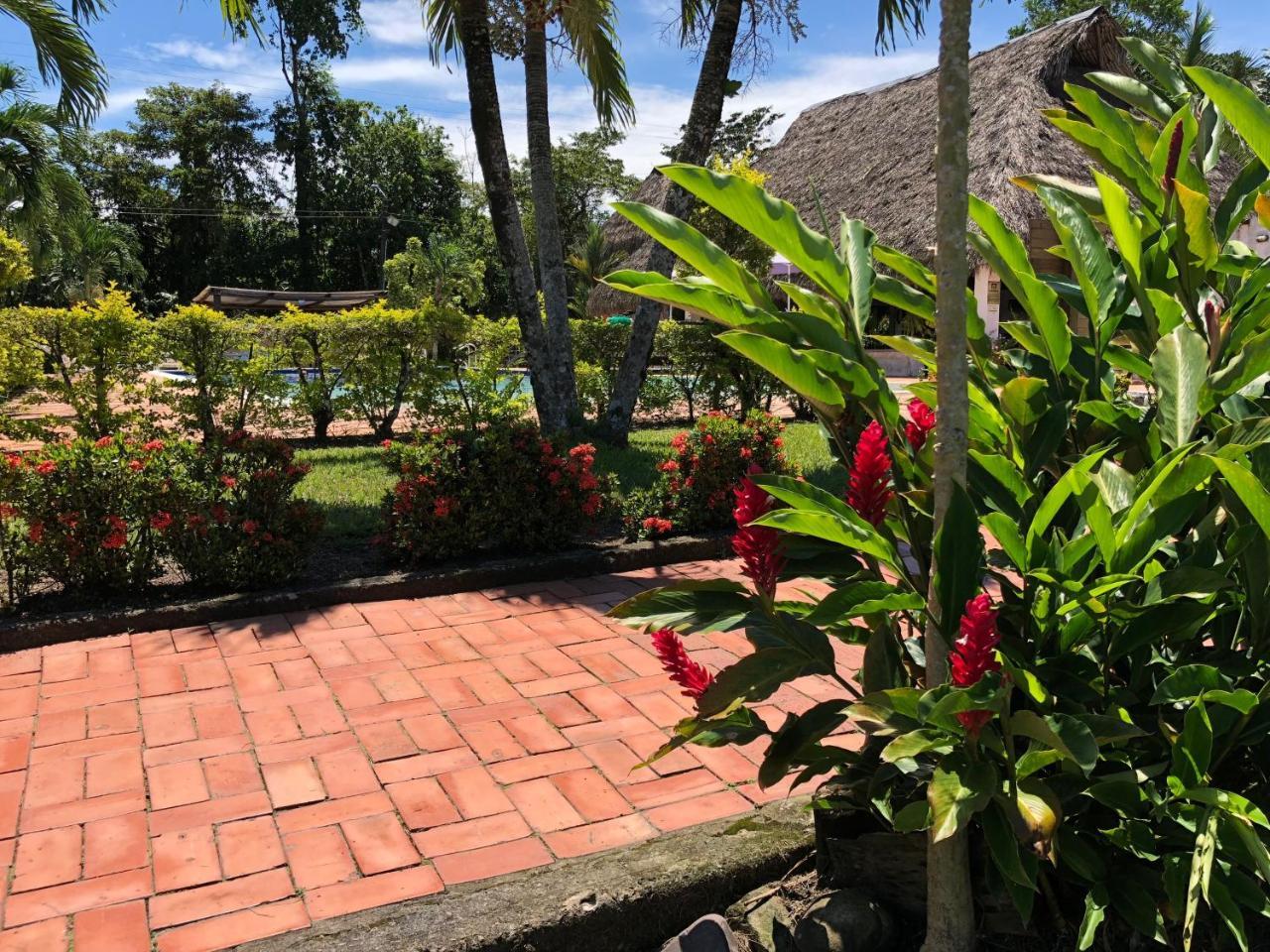 ויז'אוויסנסיו Hotel Campestre Arboretto מראה חיצוני תמונה