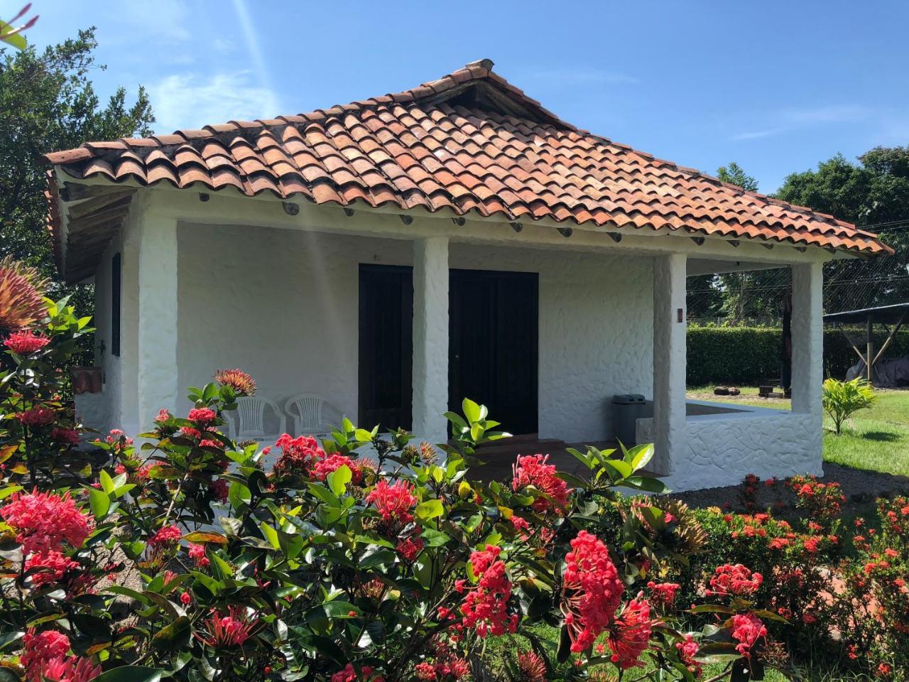 ויז'אוויסנסיו Hotel Campestre Arboretto מראה חיצוני תמונה