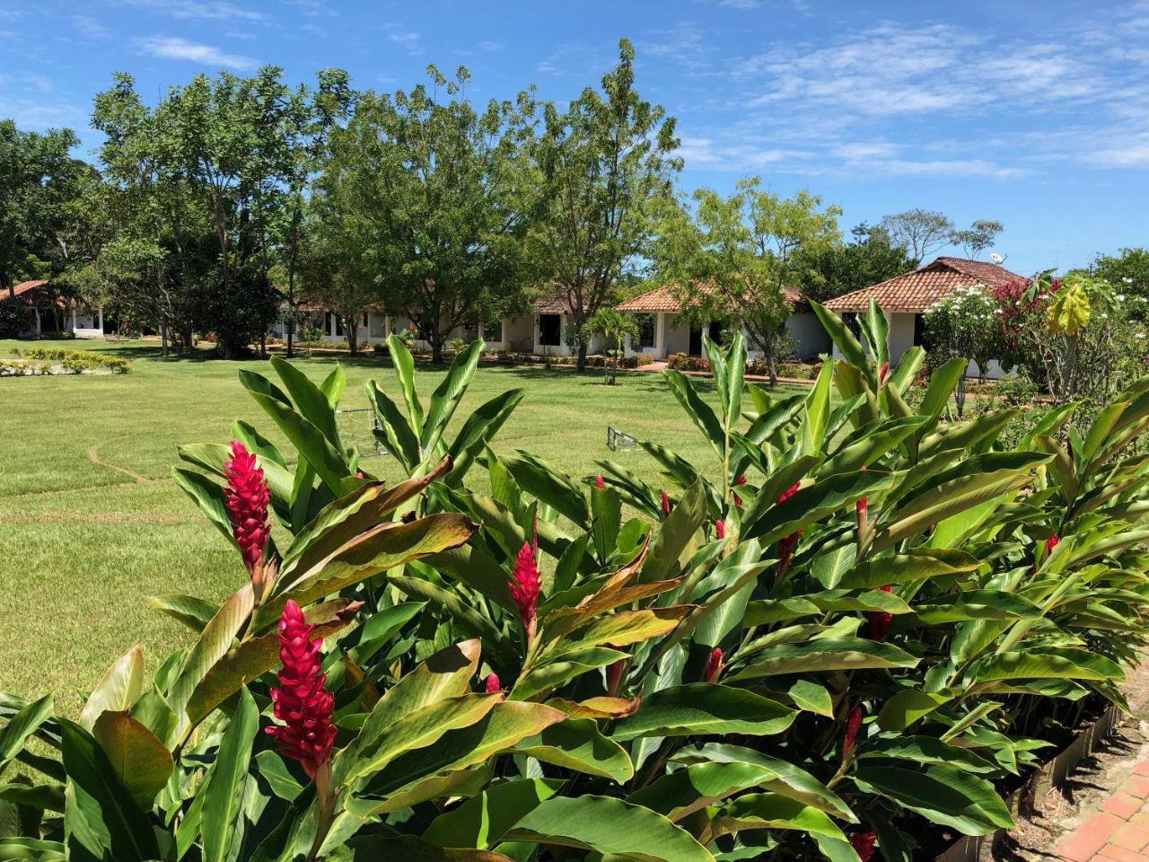 ויז'אוויסנסיו Hotel Campestre Arboretto מראה חיצוני תמונה